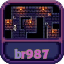 br987